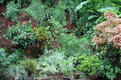 Anniewatte House image 12