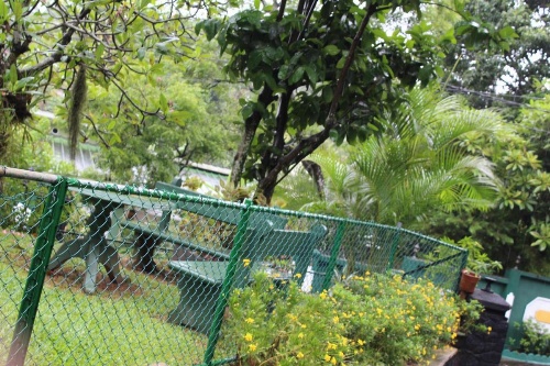 Anniewatte House image 13