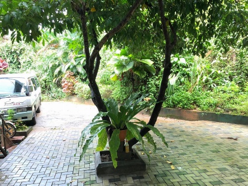 Anniewatte House image 6